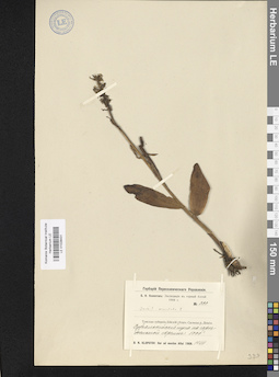 LE 01028431