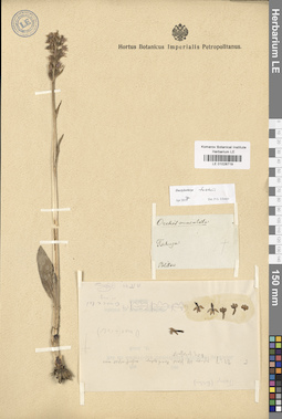 LE 01028719