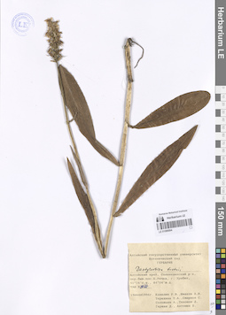LE 01086994