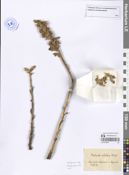 LE 01272545