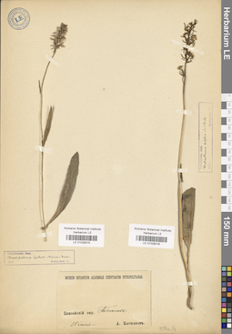 LE 01028315