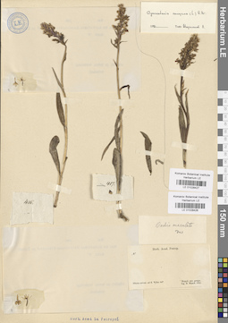 LE 01028426