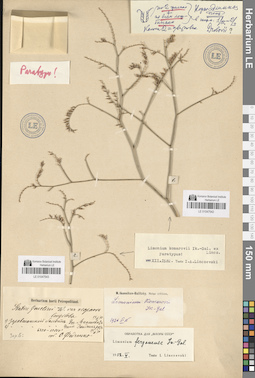 LE 01047543