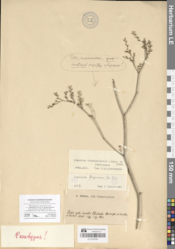 LE 01047539