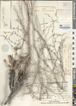 LE 01045049