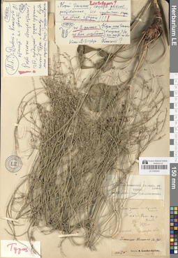 LE 01045043
