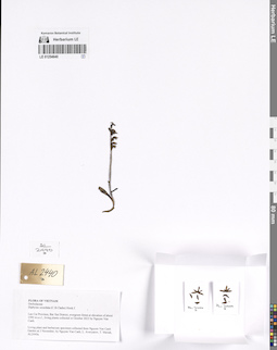 LE 01254640