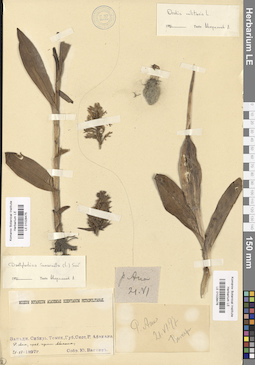 LE 01028476