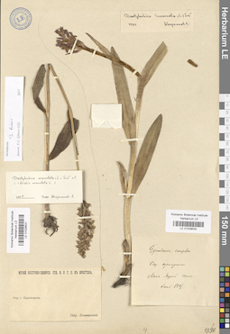 LE 01028531