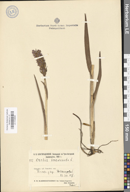 LE 01028545