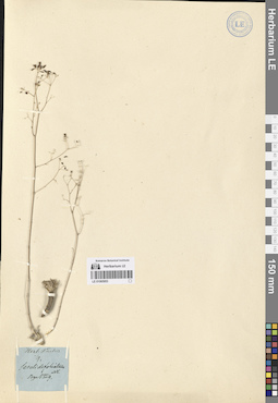 LE 01065953