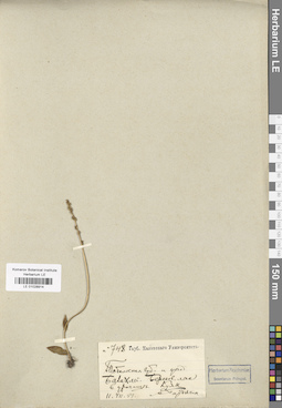 LE 01028914