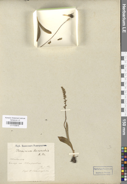 LE 01028915