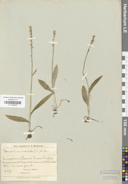 LE 01028916