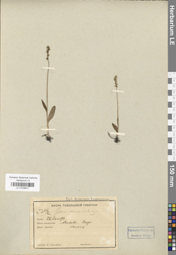 LE 01028917