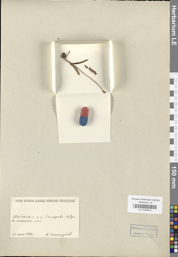 LE 01028918