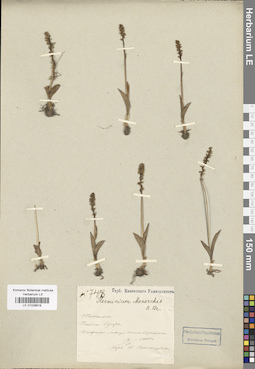 LE 01028919