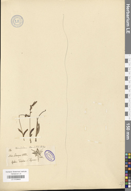 LE 01028920
