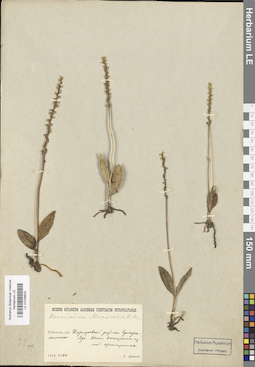 LE 01028923