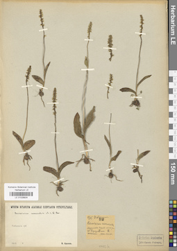 LE 01028924
