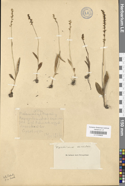 LE 01028925