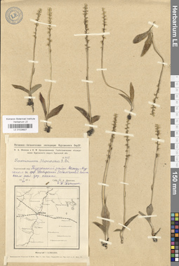 LE 01028927