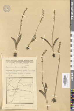 LE 01028928