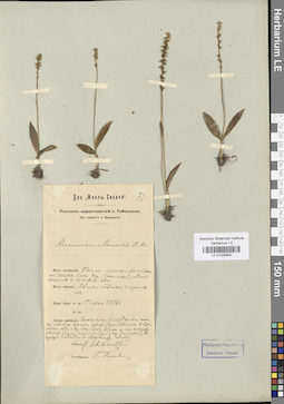 LE 01028930