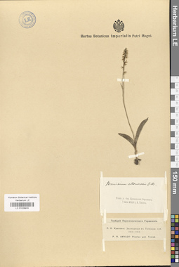 LE 01028933