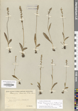 LE 01028935