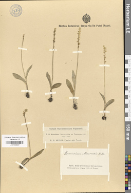 LE 01028937