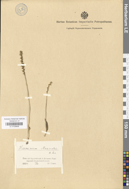 LE 01028939