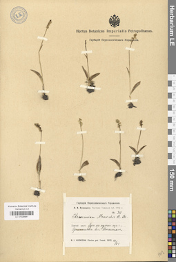 LE 01028941