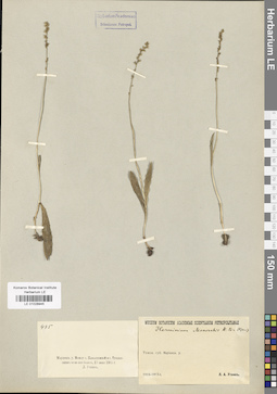 LE 01028945