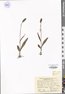 LE 01028947