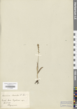 LE 01028949