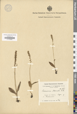 LE 01028950