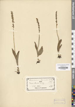 LE 01028953