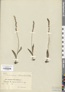 LE 01028954