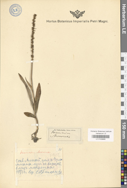 LE 01028956