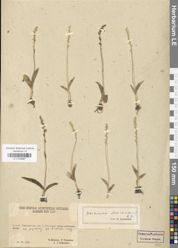LE 01028957