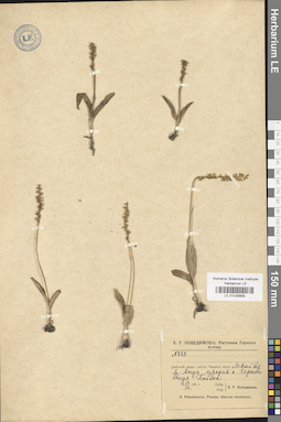 LE 01028958