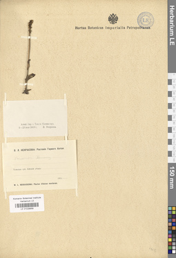 LE 01028959