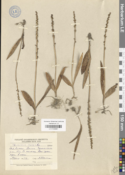 LE 01028961