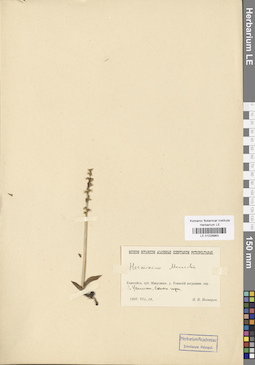 LE 01028963
