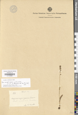 LE 01028964
