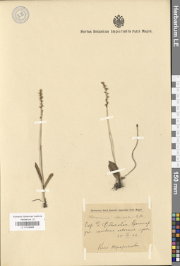 LE 01028966