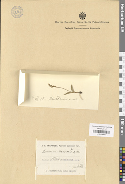 LE 01028967