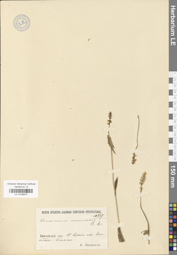 LE 01028972