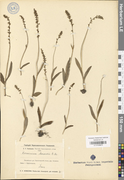 LE 01028973
